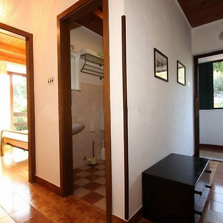 Apartment Iva Molunat Extérieur photo